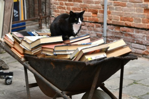 Библиотека с ресурси (EX01)