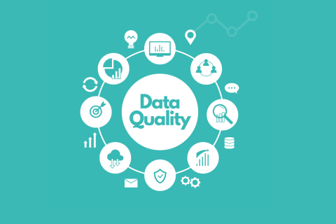 Capacitación Calidad de Datos