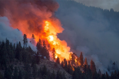 *Brasil S-190 Curso Assíncrono - Introdução ao Comportamento do Fogo para os Incêndios Florestais