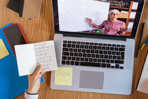 Using Articulate Review