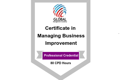 Certificate in Business Improvement (X303)