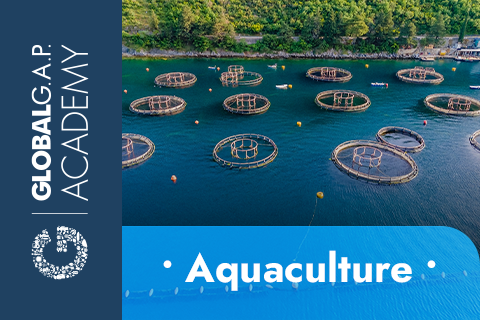23-27 November 2026 | Integrated Farm Assurance (IFA) Course v6 | Aquaculture (50-1872-26)