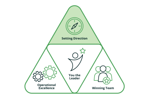 Strategy Map and GROW's strategy formulation process (C.1)