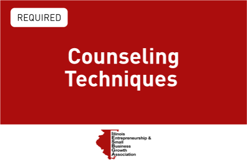 Counseling Techniques (IESBGA2)