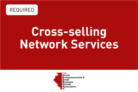 Cross-selling Network Services (IESBGA3)