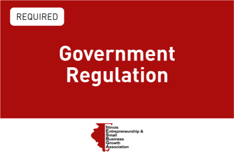 Government Regulation (IESBGA4)