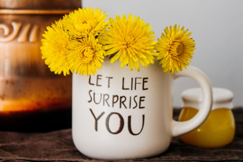 EM 03: Building resilience, mastery, and practing loving kindness (EM03)