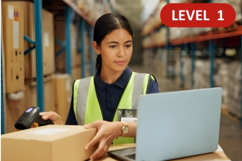 Supply Chain Visibility and Digitalisation (Discovery Pathway - Level 1) (HLM_M15_L1)