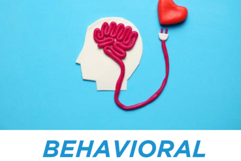 Behavioral Health Consultant (BHC) Hypertension Toolkit Training