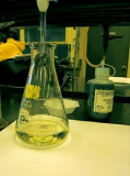 R06.4 - Oilseed rape - Oil content - What affects the test? v1 (4.5.4)