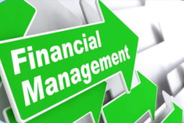 * Financial Empowerment and Stability (FES)