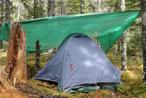 Living at Camp (a0018)