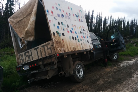 Vehicle Safety (a005)