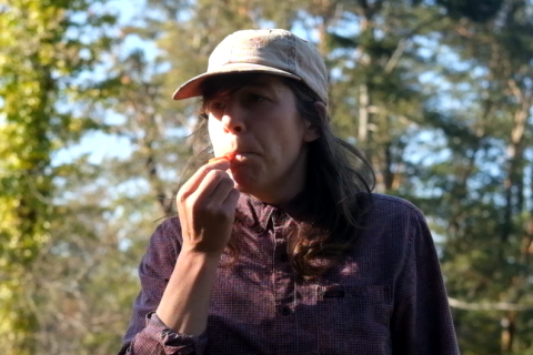 General Safety RULES (a008)