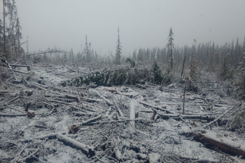 Refusal of Unsafe Work (a003)