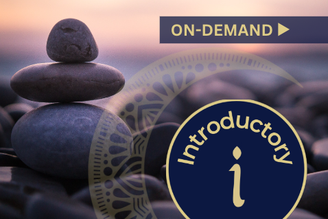 Master Classes: Epigenetics and Power of Thought; Vagus Nerve; The Power of 3rd Eye - On Demand (009-MC)