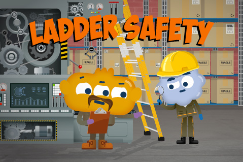 Ladder Safety (OWS14) Ladder Safety (OWS14)