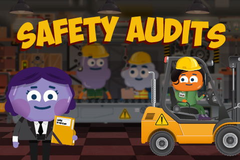 Safety Audits (OWS23) Safety Audits (OWS23)