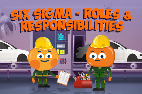 Six Sigma - Roles and Responsibilities (QME10)