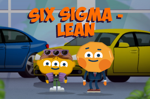 Six Sigma - Lean (QME08)