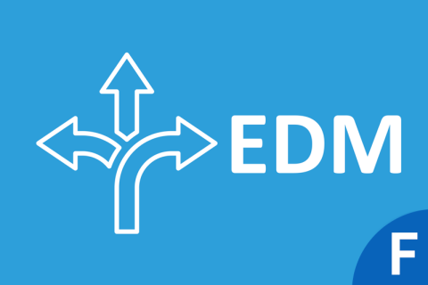 Executive Decision-Making (EDM-FC)