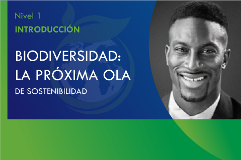 [N1: 8] Biodiversidad: La Próxima Ola de Sostenibilidad (L1008-ESP)