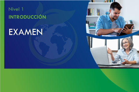 [N1: 11] Examen (L1011-ESP)