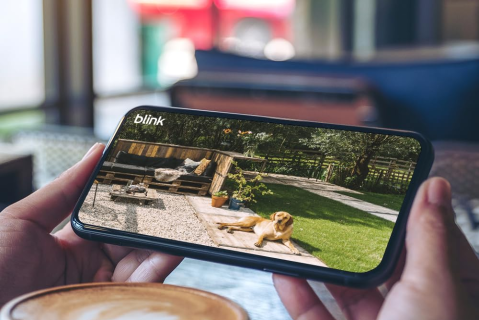 Blink October 2025 Quiz