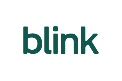 Blink Sync Module Core