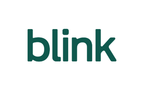 Blink AI Features