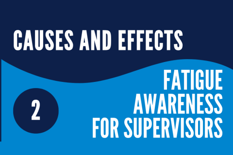 EQ: Fatigue Awareness for Supervisors: 2 Cause and Effects