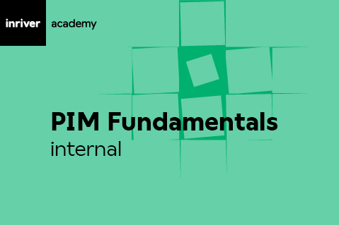PIM Fundamentals (INT-ELE-CN-290)