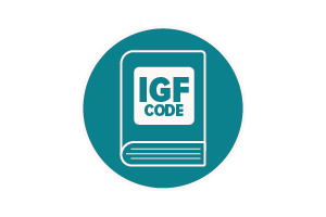 Basic IGF Code