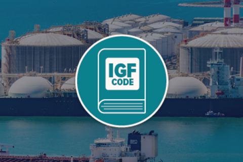 Basic IGF Code