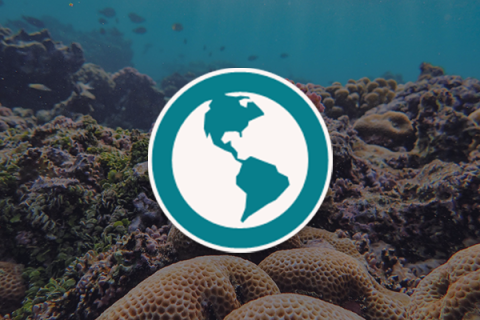 Environmental Awareness