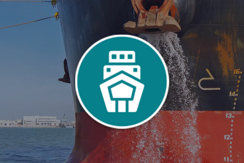 Ballast Water Management