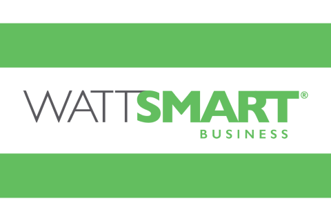 PP Lighting Products Safety Concerns and Valid Certifications (PP-AIA-EiQ-225)