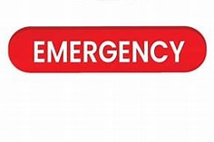 From Calm to Crisis:  Preparing Teams for the Unexpected