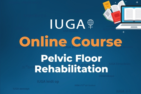 Pelvic Floor Rehabilitation