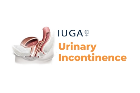 Urinary Incontinence