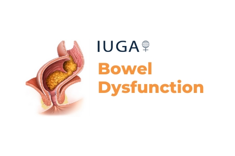 Bowel Dsyfunction
