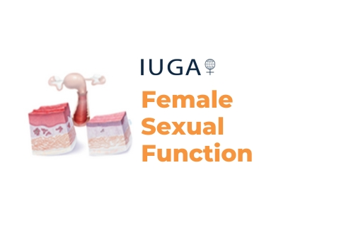 Female Sexual Function