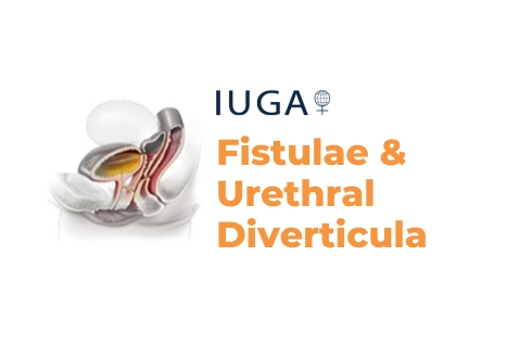Fistulae and Urethral Diverticula