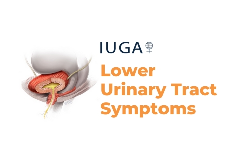 Lower Urinary Tract Symptoms
