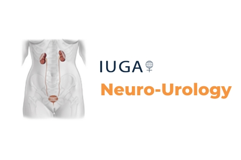 Neuro-Urology