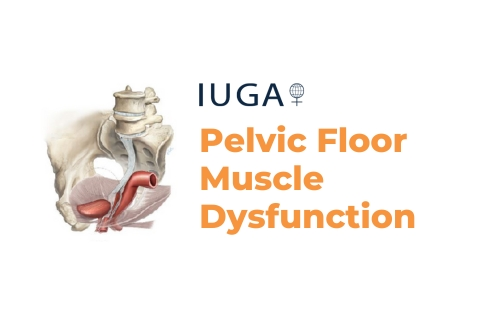 Pelvic Floor Muscle Dysfunction