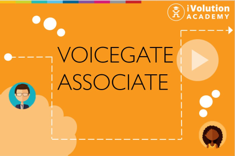 Voicegate (Sales Associate) (SalesAssociate11)