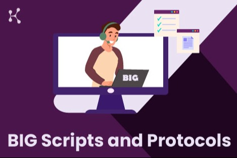 BIG Standards of Practice