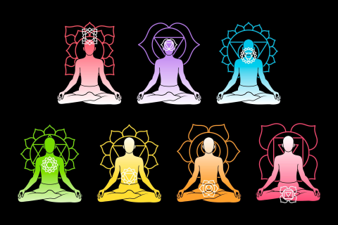 Les 7 corps de l'Homme (cl)