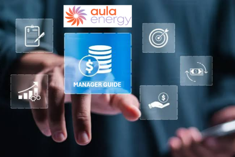 02. AULA ENERGY MANAGER PAYROLL GUIDE